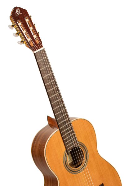 Preview: Ortega R20GWN-L